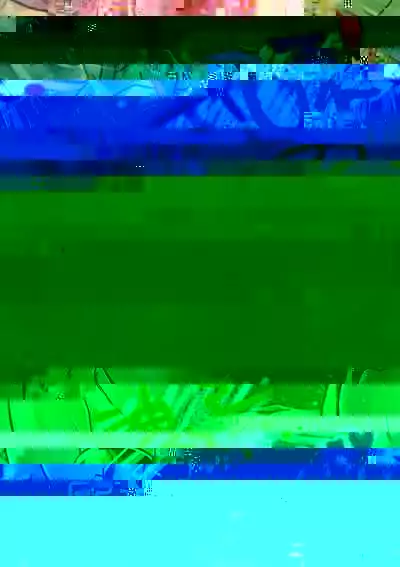 Oshiete! Miko Sensei!