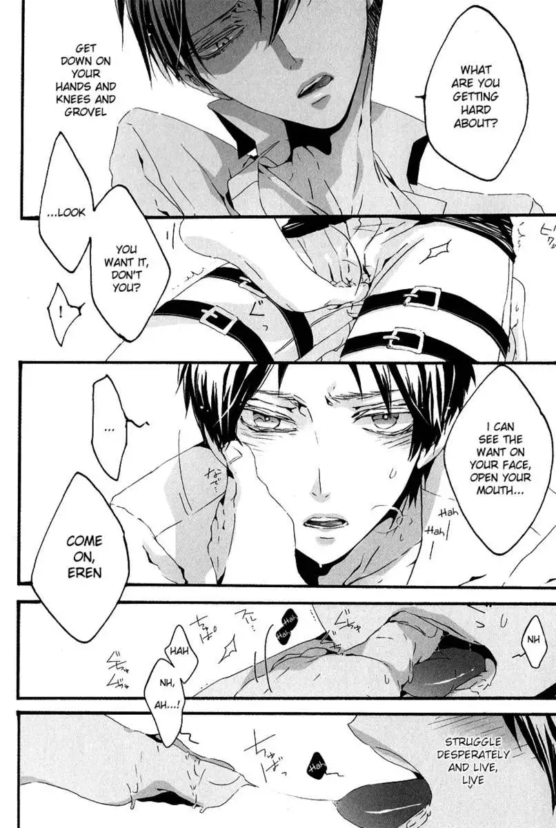 Life is like a box of chocolates