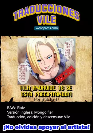 Hachamecha ga Oshiyosetekurun Ho~o!! | ¡¡La androide 18 se está precipitando!!