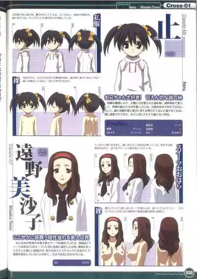 Cross Days Visual Fan Book