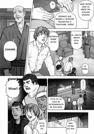 Kai Makoto Training Dog