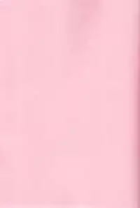 (C92) [Ranshi to Kimi to. (santa)] Mahou Shoujo Saimin PakopaCause (Fate/Grand Order) [Chinese] [无毒汉化组]