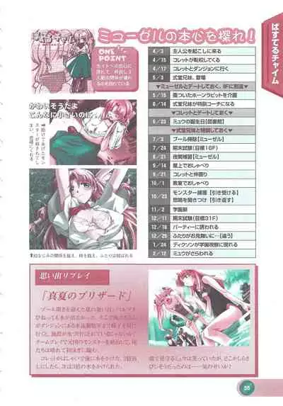 Official Alicesoft Full Completion Guide 2