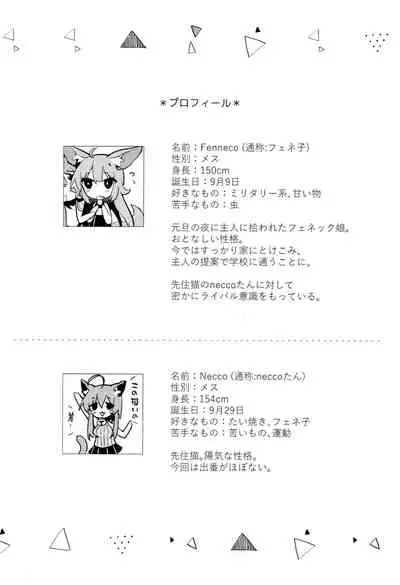 Fennec Musume Summer!