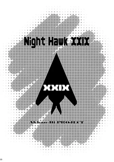 NightHawk XXIX