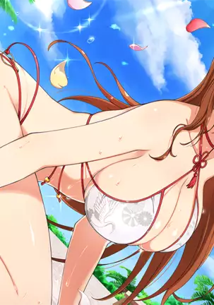 Master Ninja Senran Kagura NEW LINK - Crossover