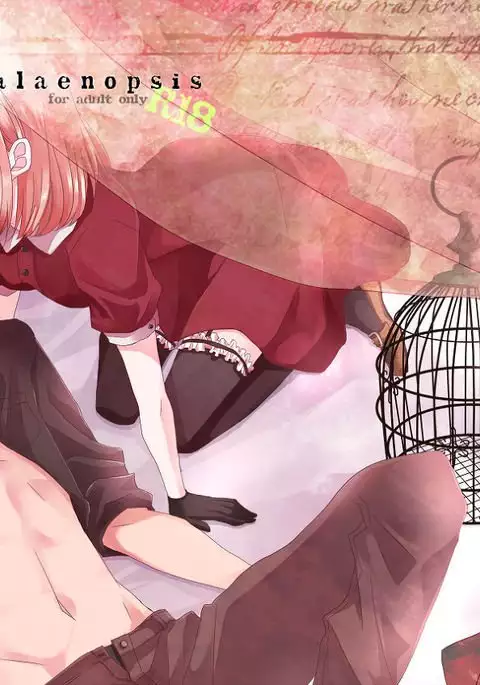 [OCELOT phalaenopsis