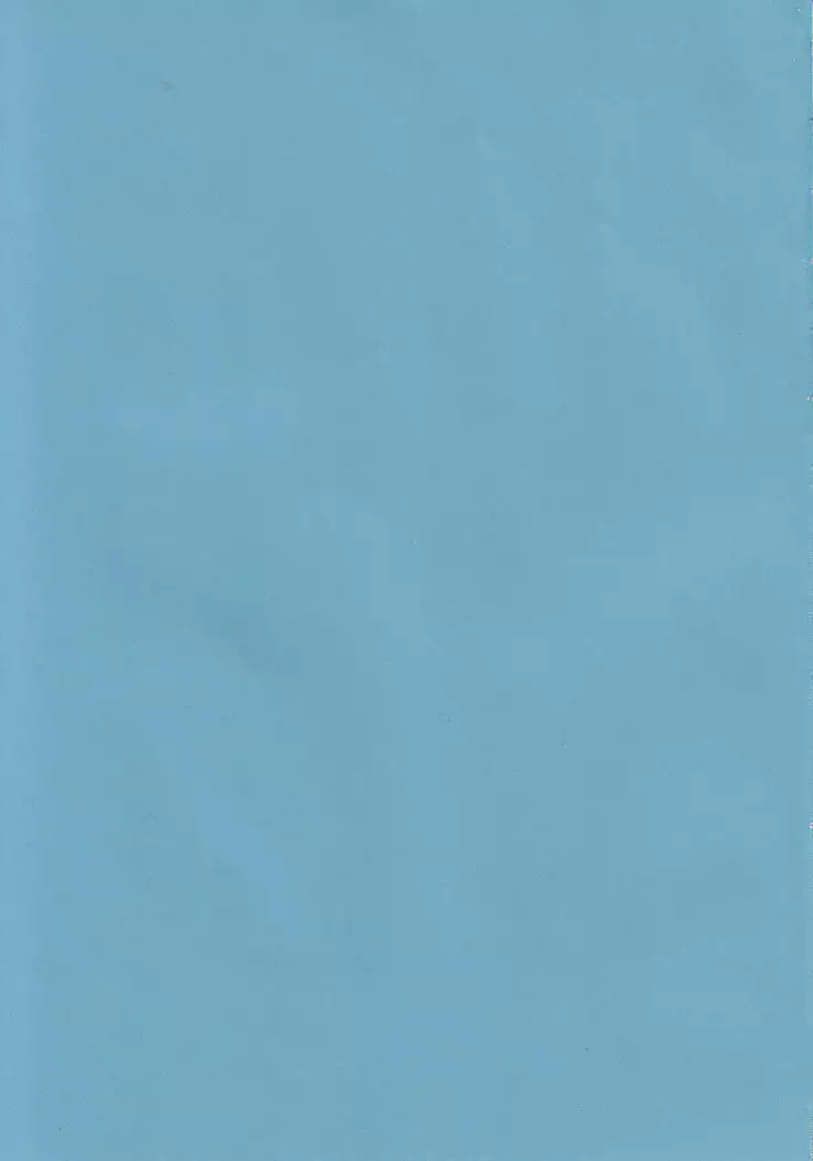 Renko Okusuri Jikken