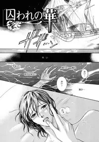 [MAEDA Momiji] Kodoku no Kane ga Naru