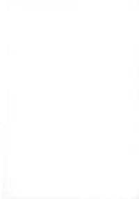 (C88) [EUNOXLINE (U-1)] Takamachi-ke no Ian Ryokou (Mahou Shoujo Lyrical Nanoha)