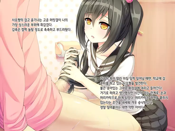 Itoko-chan, Irasshai