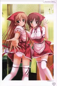 Shakkin Shimai＆Shakkin Shimai2 visual fanbook