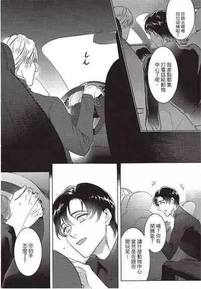 Chihireru Kubiwa | 碎裂的项圈