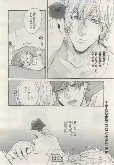 BE・BOY GOLD 2015-02