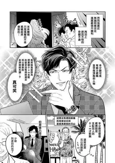 Dom/Sub Universe BL 01-02