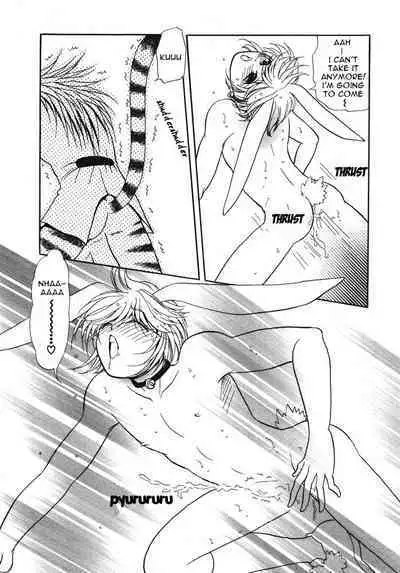 Puchi D VOL. 4 Kemonomimi