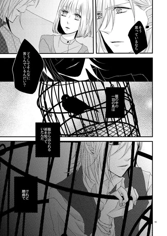 [OCELOT phalaenopsis