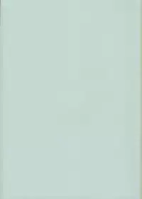 (COMITIA88) [Raiden Labo (Raiden)] Peperoncino