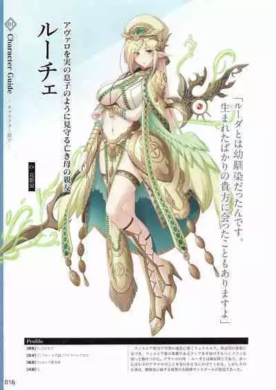 Amayui Labyrinth Meister Perfect Guidebook