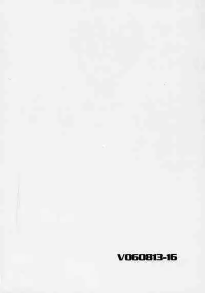 V060813