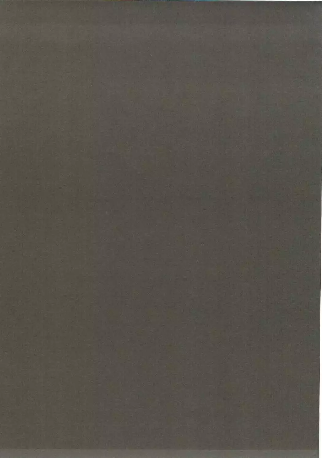 Gokujou!! Erina-chan