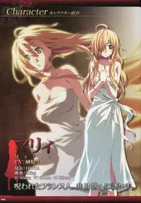 Dies irae Visual Fanbook - Black Book