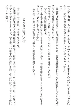 年上メイドの新婚日記