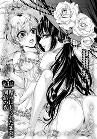 [Saotome Mokono] Kyououji no Ibitsu na Shuuai ~Nyotaika Knight no Totsukitooka~ 1 [Digital]