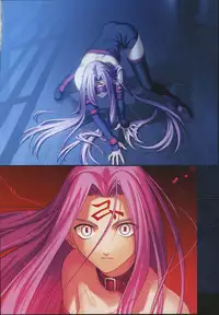 [Type-Moon] Fate/complete material I - Art material.