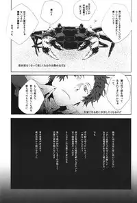 (SPARK6) [shell (hanaya)] Last Night (Persona 4)