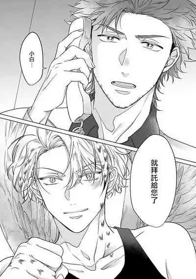 Fukurou no Koiwazurai | 猫头鹰的相思病