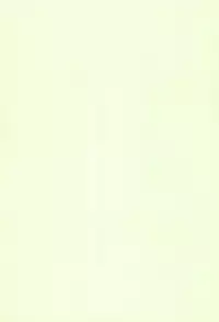 (C58) [SHEEPCLOUD (Hitsujiko)] Digital Syndrome (Digimon Adventure 02)