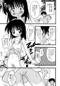 [yeahhhy tomii] Meconopsis