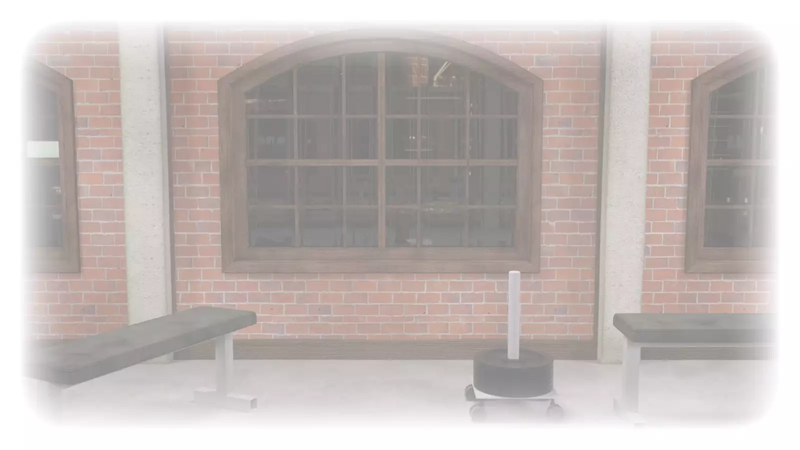 Futanari Weight Loss Program