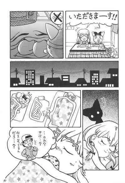 Fun House 9th Chame!