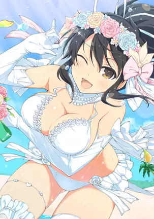 Master Ninja Senran Kagura NEW LINK