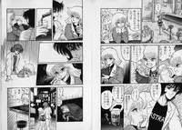 [Shin Tsuguru] Physical Flapper