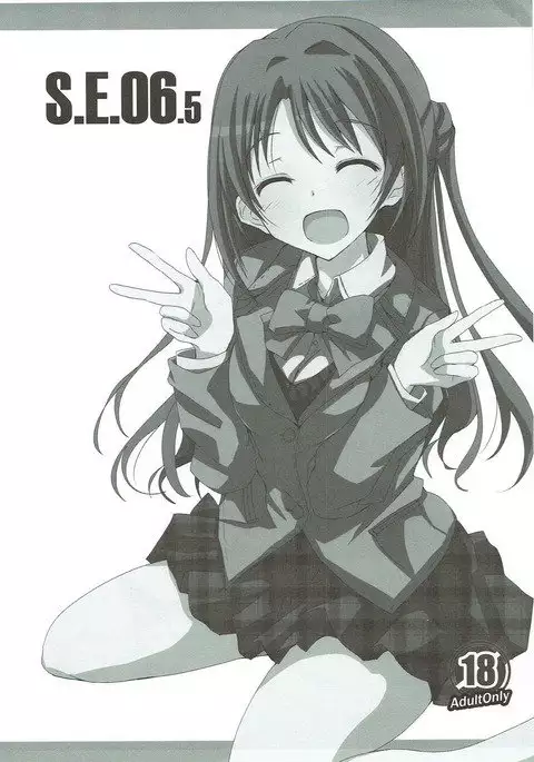 S.E.06.5