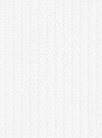 [Ran-ya (Aranmaru)] SECRET EXPERIMENT (Touhou Project) [Digital]