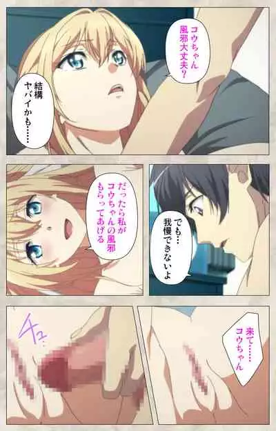 Ane Yome Quartet Kanzenban