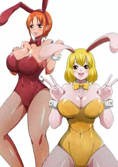 Bunny Service