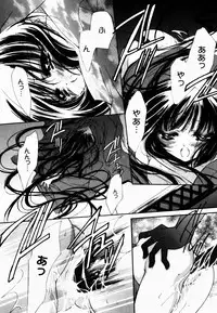 [Hayase Hashiba] Good Luck Charm