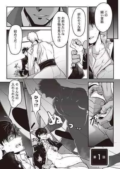 Kyojinzoku no Hanayome