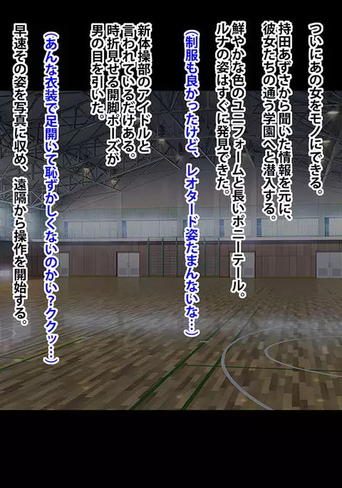 Idol Force Operation - Gaiden