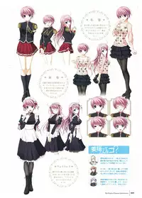 Walkure Romanze Visual Fan Book