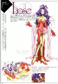 Mei King Official Visual Book