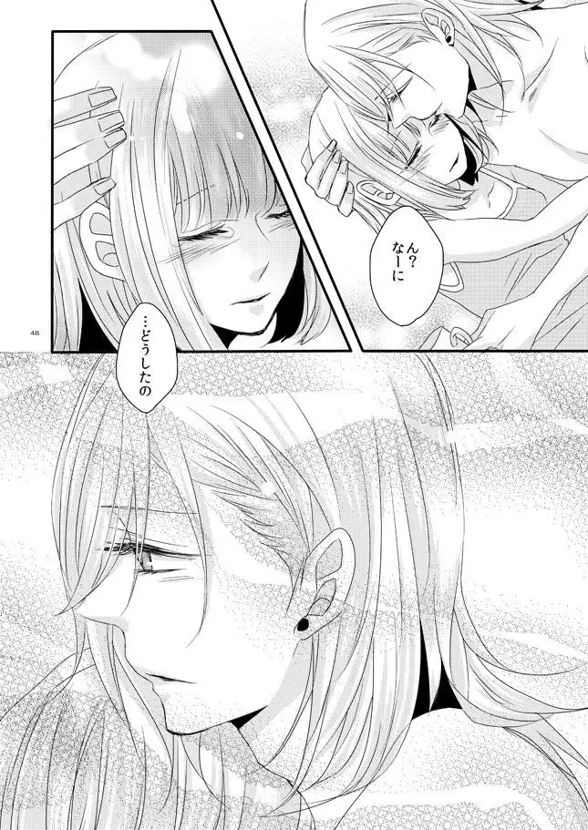 [OCELOT phalaenopsis