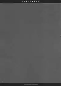 (C85) [Alemateorema (Kobayashi Youkoh)] GARIGARI 57 (Touhou Project)