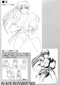 (C64) [Shinnihon Pepsitou (St.germain-sal)] Destruction Of Annihilate (Dead or Alive)