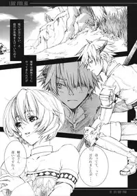 (C74) [Akai Tsubasa (Tachibana Chata)] LOVE FOOL.08 (Fantasy Earth ZERO)